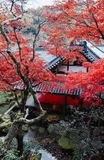 微信小程序怎么炸金花-微信小程序炸金花，游戏玩法与策略